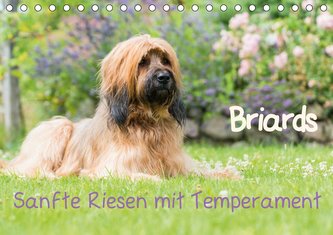Briards - sanfte Riesen mit Temperament (Tischkalender 2021 DIN A5 quer)