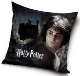 POVLAK NA POLŠTÁŘ HARRY POTTER