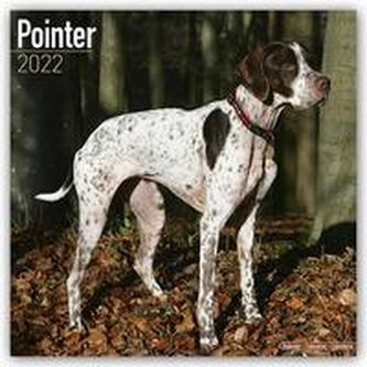 Pointer 2022 - 16-Monatskalender