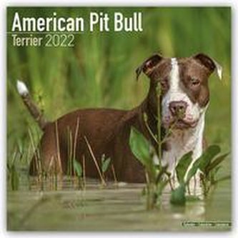 American Pit Bull Terriers 2022 - 18-Monatskalender mit freier DogDays-App