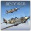 Spitfires 2022