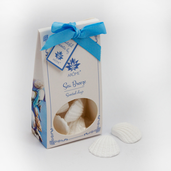 Vonné jíly, 4 ks v krabičce, různé tvary, Sea Breeze