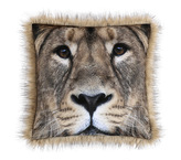 Polštářek SAFARI - lev - 45x45cm