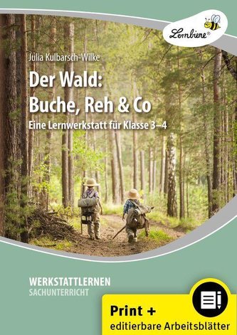 Der Wald: Buche, Reh & Co (Set)