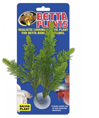 Rostl.akv.ZMD Betta Plant Salvia