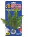 Rostl.akv.ZMD Betta Plant Salvia