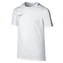 Y NK DRY SQD TOP SS DN, 10 | FOOTBALL/SOCCER | YOUTH UNISEX | SHORT SLEEVE TOP | WHITE/COOL GREY/COOL GREY | S