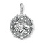 Přívěsek \"Talisman Drak a tygr\" Thomas Sabo, 1699-637-21, Charm Club, 925 Sterling silver, blackened