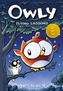 Flying Lessons (Owly #3)