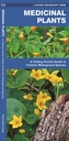 Medicinal Plants