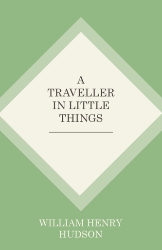 A Traveller in Little Things
