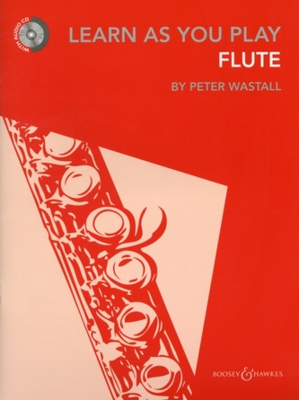 Learn as You Play Flute