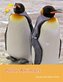 Polar Animals