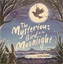 The Mysterious Bird in the Moonlight