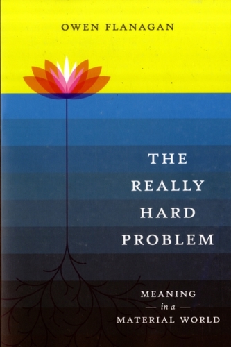 The Really Hard Problem