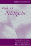 Reading Nietzsche