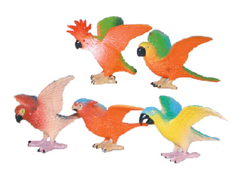 papoušci, 5 ks v sáčku