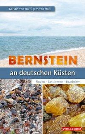 Bernstein an unseren Küsten