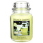 Svíčka ve skleněné dóze Village Candle Margarita, 737 g