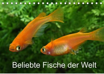 Beliebte Fische der Welt (Tischkalender 2022 DIN A5 quer)
