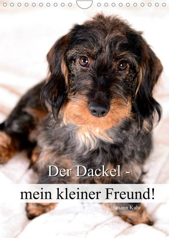 Der Dackel - mein kleiner Freund (Wandkalender 2022 DIN A4 hoch)