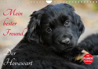 Mein bester Freund - Der Hovawart (Wandkalender 2022 DIN A4 quer)