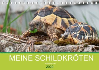 Meine Schildkröten (Tischkalender 2022 DIN A5 quer)
