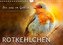 Bei uns im Garten - Rotkehlchen (Wandkalender 2022 DIN A4 quer)