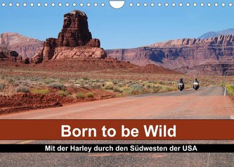 Born to be Wild - Mit der Harley durch den Südwesten der USA (Wandkalender 2022 DIN A4 quer)