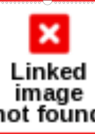 Luchs (Wandkalender 2022 DIN A4 hoch)