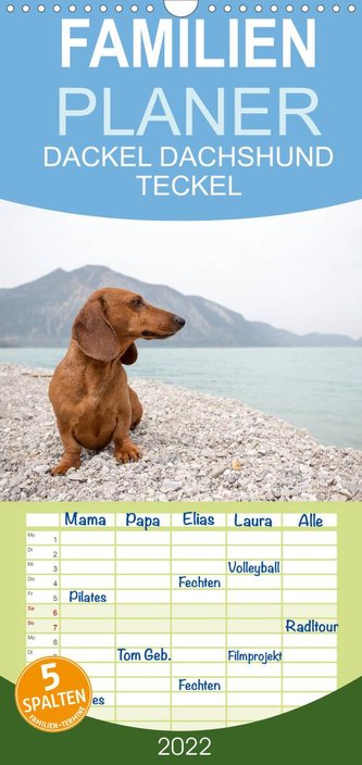 DACKEL DACHSHUND TECKEL 2022 - Familienplaner hoch (Wandkalender 2022 , 21 cm x 45 cm, hoch)