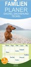 DACKEL DACHSHUND TECKEL 2022 - Familienplaner hoch (Wandkalender 2022 , 21 cm x 45 cm, hoch)