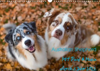 Australian Shepherd 2022 (Wandkalender 2022 DIN A3 quer)