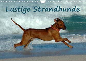 Lustige Strandhunde (Wandkalender 2022 DIN A4 quer)