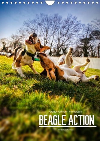Beagle Action - Wilde Kuscheltiere (Wandkalender 2022 DIN A4 hoch)