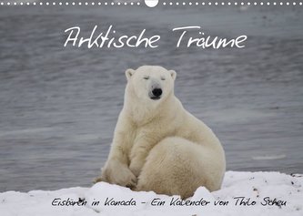 Arktische Träume - Eisbären in Kanada (Wandkalender 2022 DIN A3 quer)