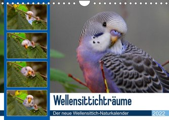 Wellensittichträume - Der neue Wellensittich-Naturkalender (Wandkalender 2022 DIN A4 quer)