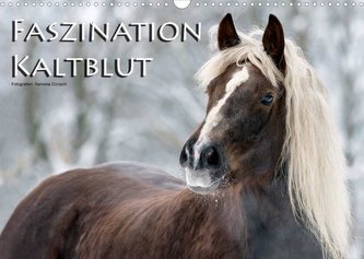 Faszination Kaltblut (Wandkalender 2022 DIN A3 quer)