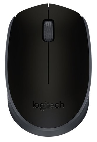 Myš "M171", černá, bezdrátová, optická, USB, vel. střední, LOGITECH