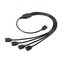 AKASA rozbočovač pro RGB LED pásky / AK-CBLD04-50BK / 1x female / 4x male / 50cm /  černý