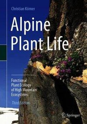 Alpine Plant Life