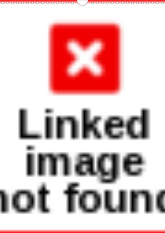 Die besten Heilpflanzen (Wandkalender 2022 DIN A3 hoch)