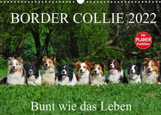Border Collie 2022 (Wandkalender 2022 DIN A3 quer)