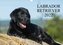 Labrador Retriever 2022 (Wandkalender 2022 DIN A3 quer)