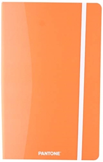 PANTONE PLANNER COMP JOURNAL 2019 COL YR