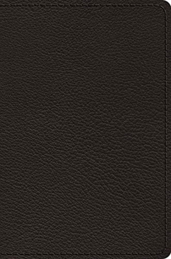 ESV Preaching Bible, Verse-by-Verse Edition