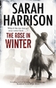 The Rose in Winter