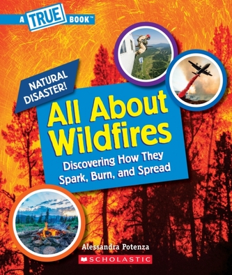 All About Wildfires (A True Book: Natural Disasters) (Library Edition)