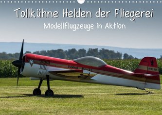 Tollkühne Helden der Fliegerei - Modellflugzeuge in Aktion (Wandkalender 2022 DIN A3 quer)