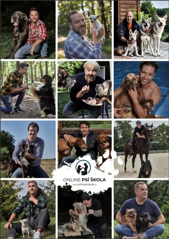 Kalendář Pes a celebrita / nástěnný